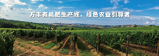 有機肥生產(chǎn)線子站baaner-3.png